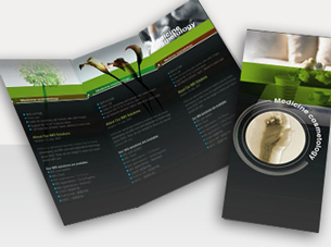 Portfolio 9